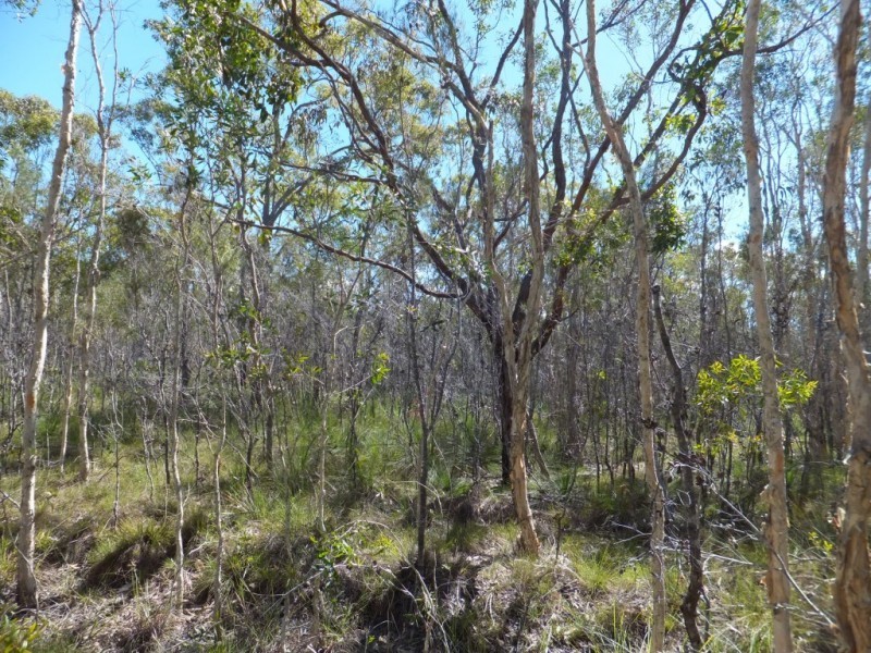1575 BUXTON ROAD, Buxton QLD 4660