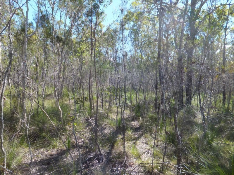 1575 BUXTON ROAD, Buxton QLD 4660