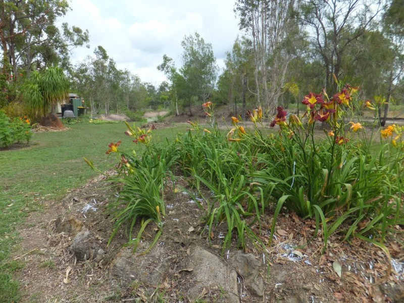 1566 BUXTON ROAD, Buxton QLD 4660