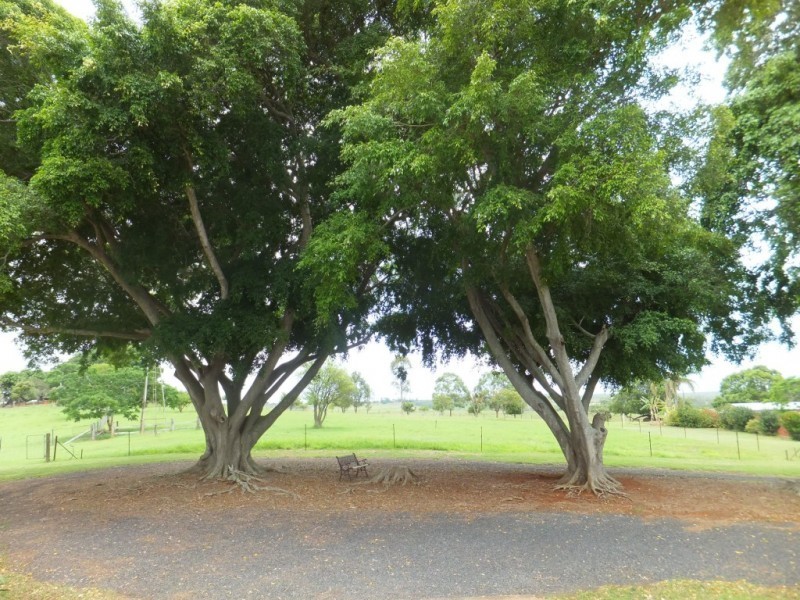 87 HAWES ROAD, North Isis QLD 4660