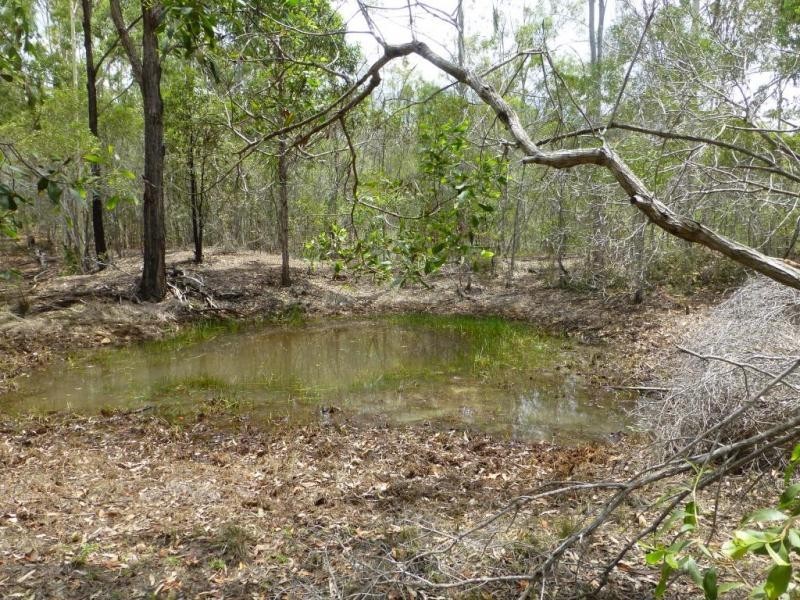 236 STOCKYARD ROAD, North Isis QLD 4660