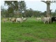 667 NORTH DALLARNIL ROAD, Dallarnil QLD 4621