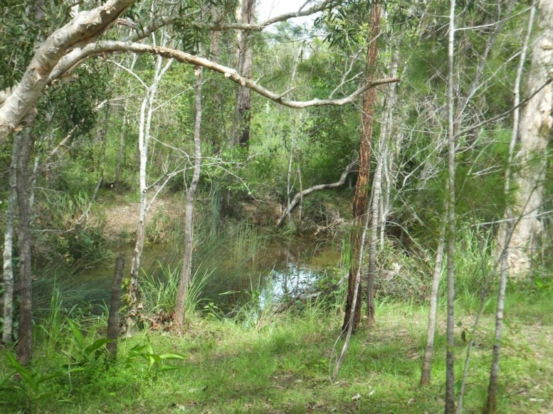 175 SUNNYBRAE CIRCUIT, Redridge QLD 4660