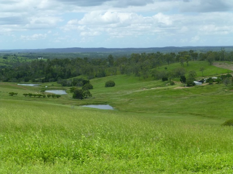 820 GOODNIIGHT SCRUB ROAD, Good Night QLD 4671