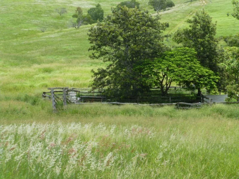 820 GOODNIIGHT SCRUB ROAD, Good Night QLD 4671