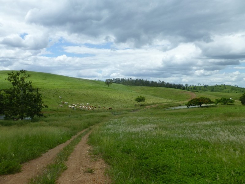 820 GOODNIIGHT SCRUB ROAD, Good Night QLD 4671