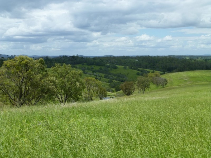 820 GOODNIIGHT SCRUB ROAD, Good Night QLD 4671