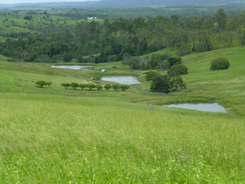 820 GOODNIIGHT SCRUB ROAD, Good Night QLD 4671