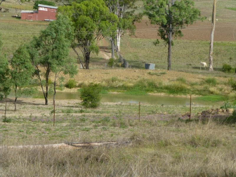 981 CORINGA ROAD, Coringa QLD 4621