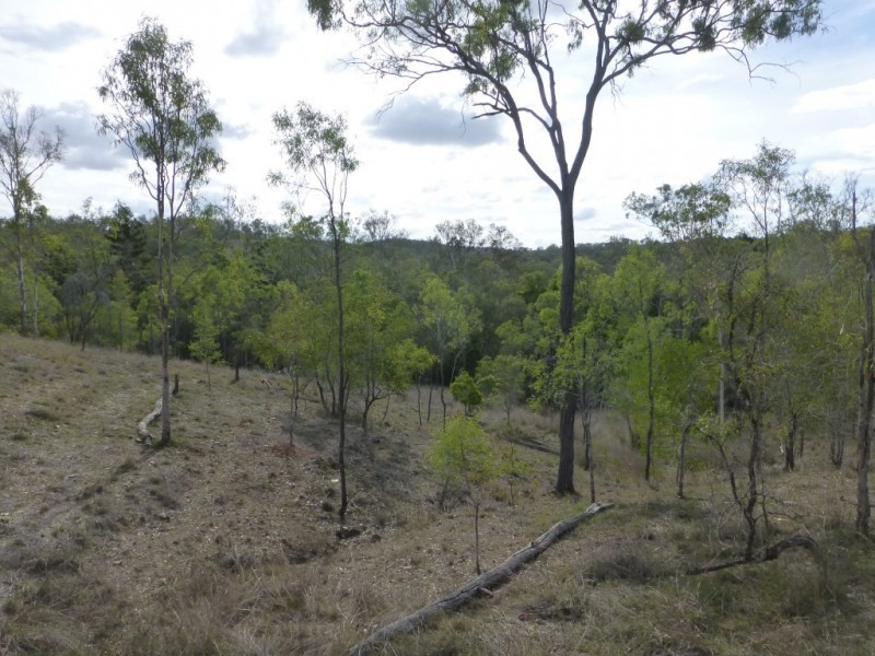 981 CORINGA ROAD, Coringa QLD 4621