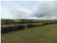 213 GORRIES ROAD, North Isis QLD 4660