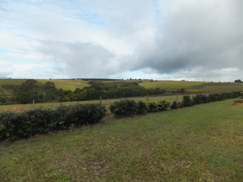 213 GORRIES ROAD, North Isis QLD 4660