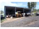 370 DIRNBIR ROAD, Dirnbir QLD 4625
