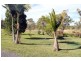 370 DIRNBIR ROAD, Dirnbir QLD 4625
