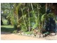 370 DIRNBIR ROAD, Dirnbir QLD 4625