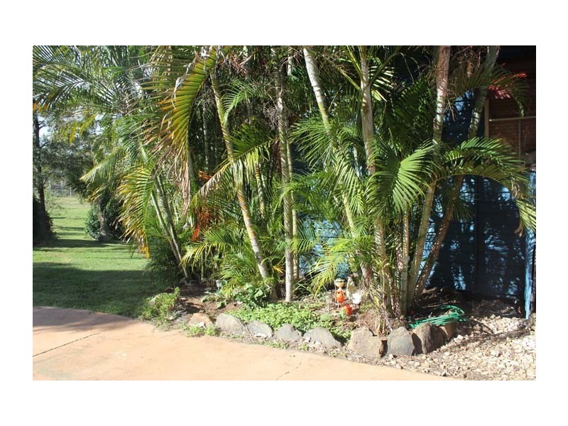 370 DIRNBIR ROAD, Dirnbir QLD 4625