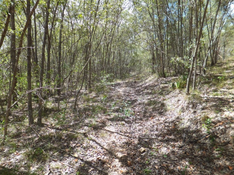 278 HODGES ROAD, Cordalba QLD 4660