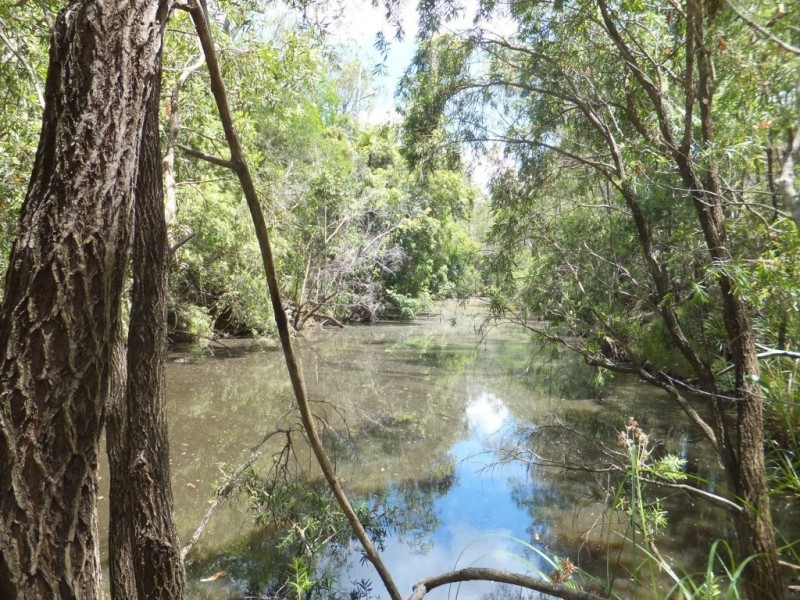 278 HODGES ROAD, Cordalba QLD 4660
