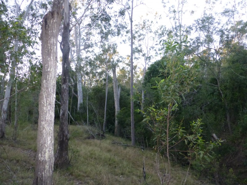211 RAILWAY ROAD, Booyal QLD 4671