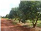 82 FRAMPTONS ROAD, North Isis QLD 4660