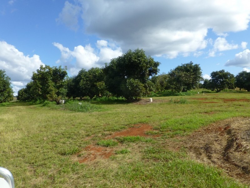 82 FRAMPTONS ROAD, North Isis QLD 4660