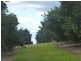 82 FRAMPTONS ROAD, North Isis QLD 4660
