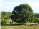 Lot 100,  MT WOOWOONGA ROAD, Woowoonga QLD 4621