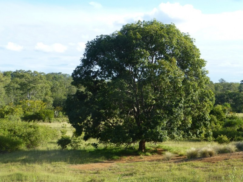 Lot 100,  MT WOOWOONGA ROAD, Woowoonga QLD 4621