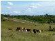 Lot 100,  MT WOOWOONGA ROAD, Woowoonga QLD 4621