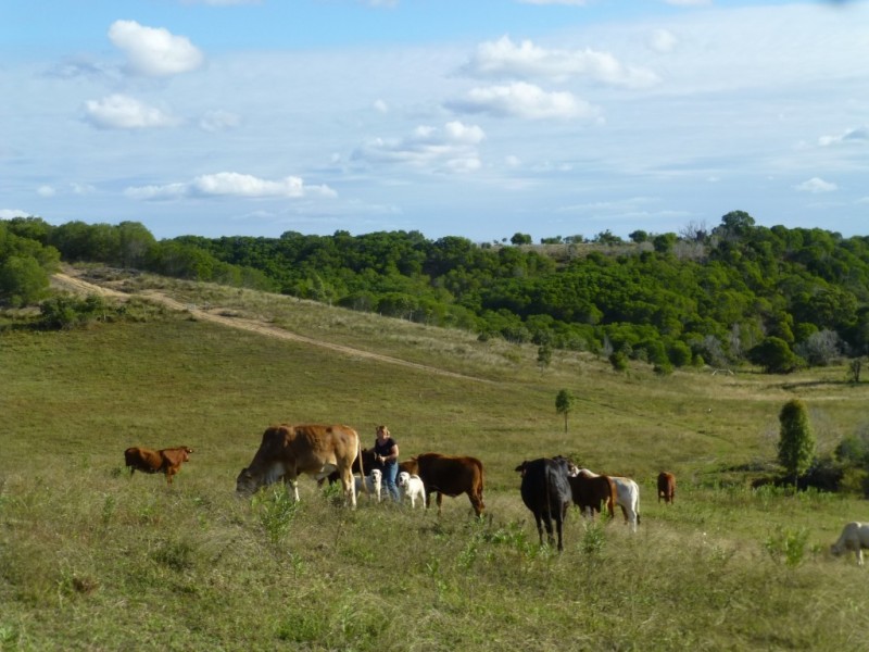 Lot 100,  MT WOOWOONGA ROAD, Woowoonga QLD 4621