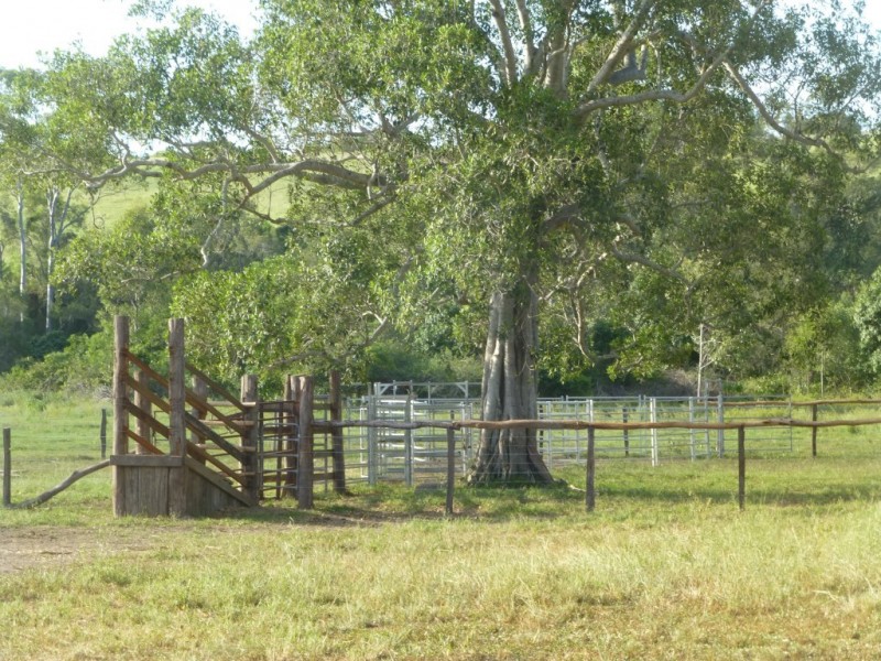 Lot 100,  MT WOOWOONGA ROAD, Woowoonga QLD 4621