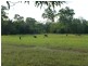 Lot 100,  MT WOOWOONGA ROAD, Woowoonga QLD 4621