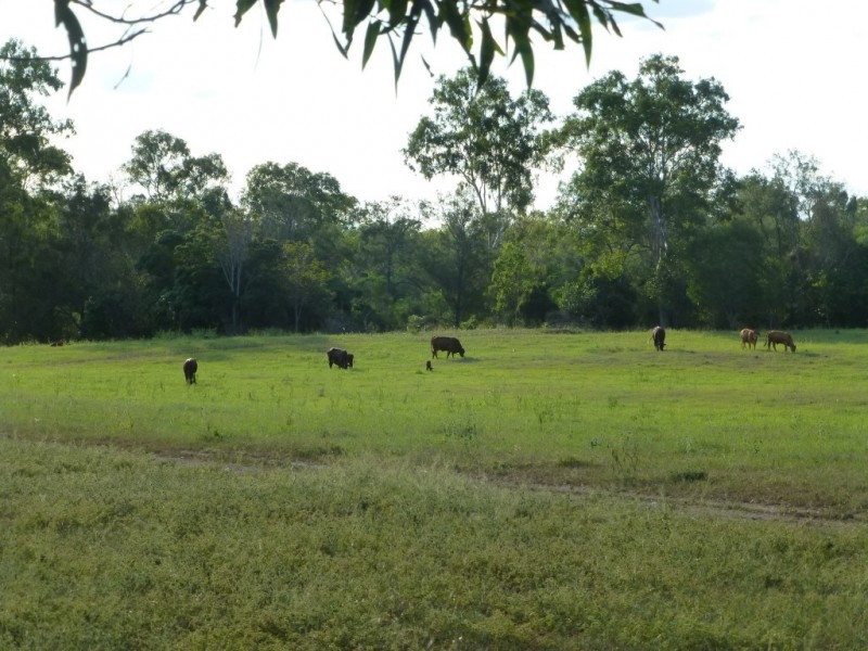 Lot 100,  MT WOOWOONGA ROAD, Woowoonga QLD 4621