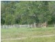 Lot 100,  MT WOOWOONGA ROAD, Woowoonga QLD 4621