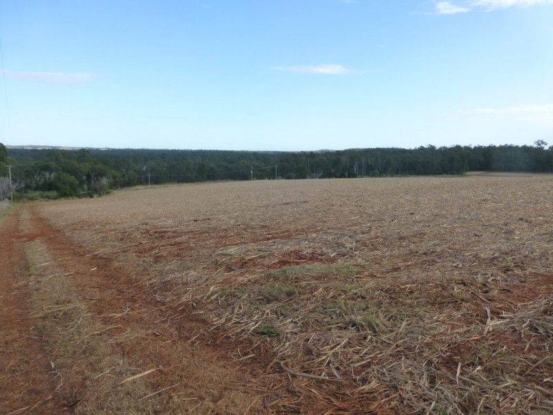 152 ABINGTON ROAD, Abington QLD 4660