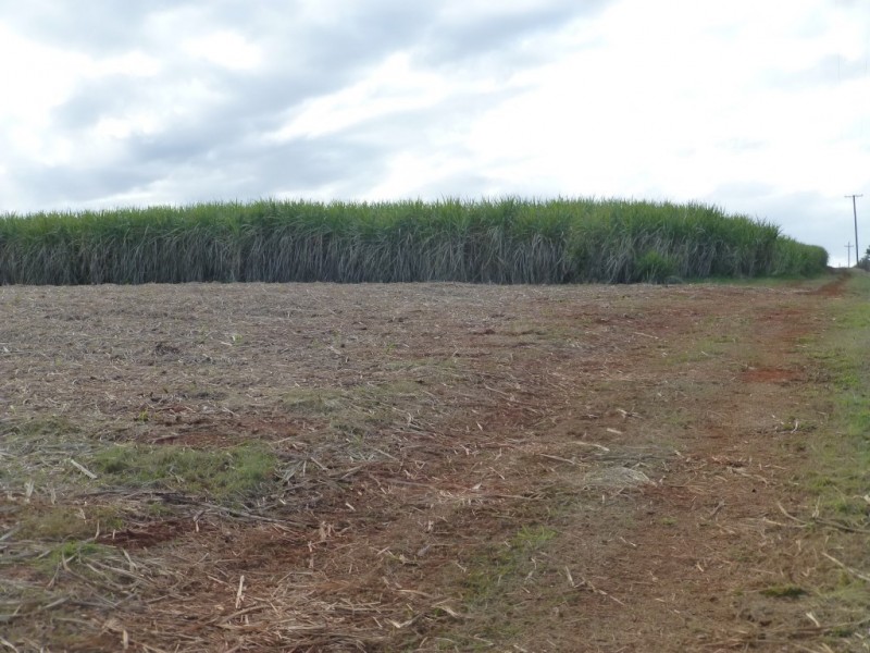 152 ABINGTON ROAD, Abington QLD 4660