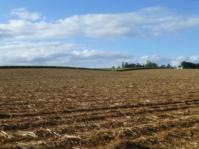 152 ABINGTON ROAD, Abington QLD 4660