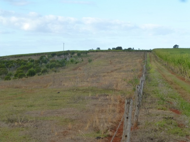 152 ABINGTON ROAD, Abington QLD 4660