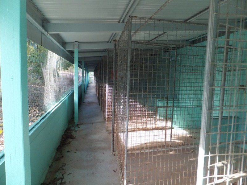 21 HATCHERY ROAD, Abington QLD 4660