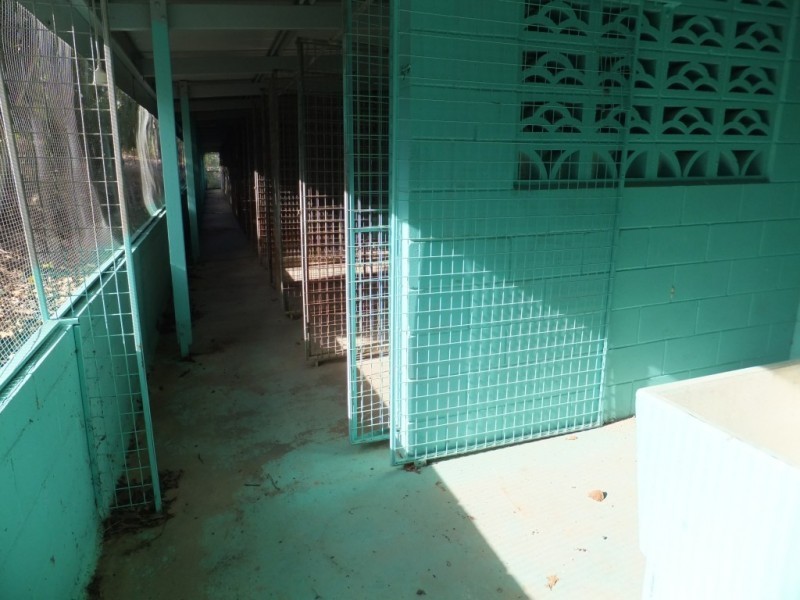 21 HATCHERY ROAD, Abington QLD 4660