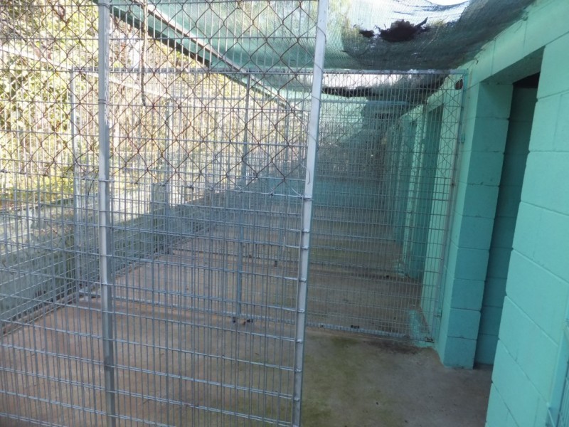 21 HATCHERY ROAD, Abington QLD 4660