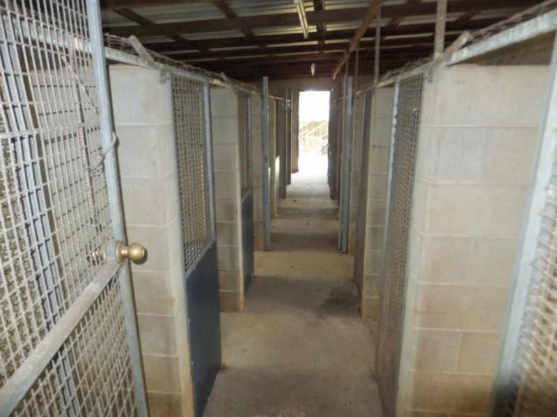 21 HATCHERY ROAD, Abington QLD 4660