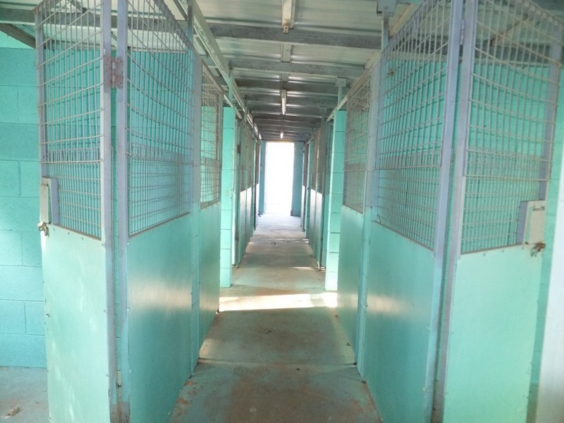 21 HATCHERY ROAD, Abington QLD 4660