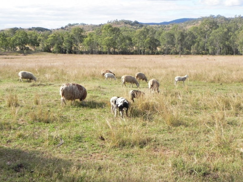 60 SECCOMBES ROAD, Biggenden QLD 4621