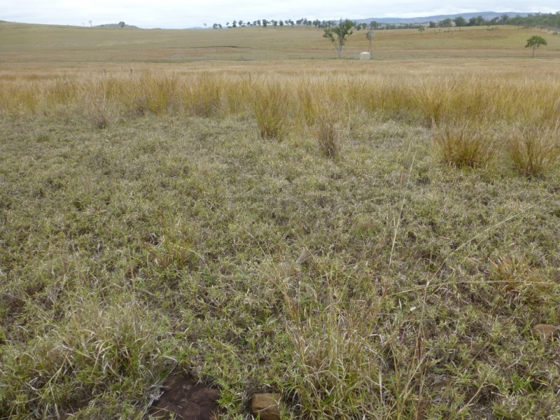 Mount Debateable QLD 4625