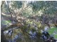 Ban Ban QLD 4625