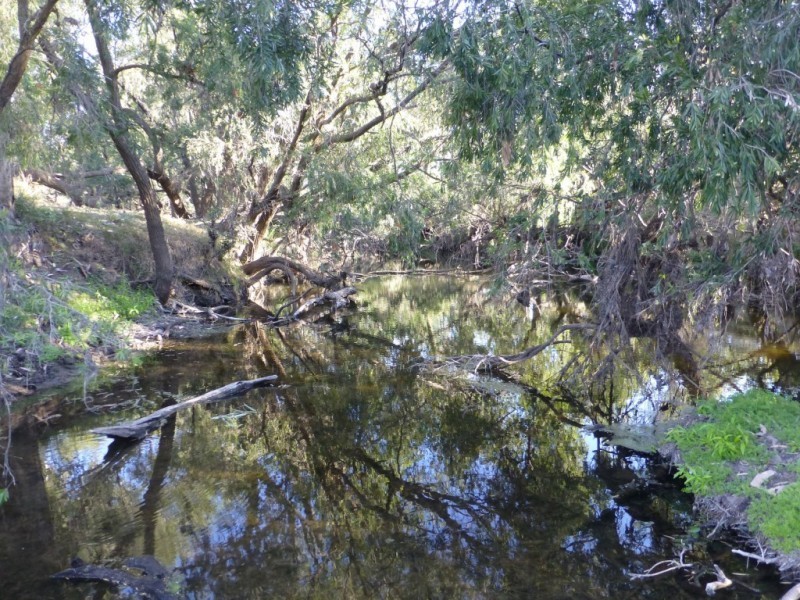 Ban Ban QLD 4625