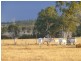 Ban Ban QLD 4625