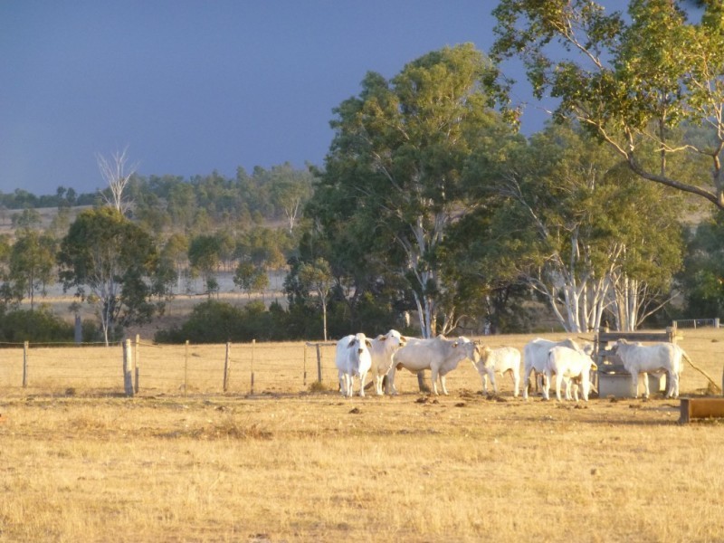 Ban Ban QLD 4625
