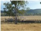 Ban Ban QLD 4625